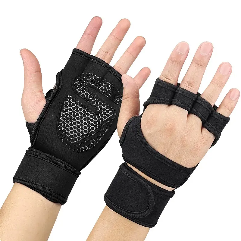 Gym Accessories