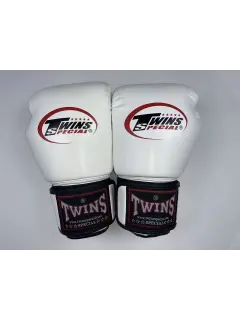 Twin Boxing Glove image 5
